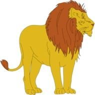 drawing of a lion with a mane on a white background