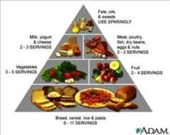 food pyramid for proper nutrition