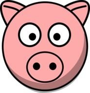Cartoon Pig Face