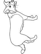 Border Collie Coloring Pages