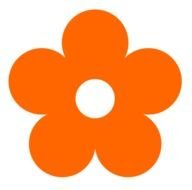 orange Flower Banner drawing