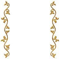 Gold Border Design N2