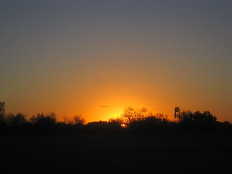 orange sun over the bushes at sunset
