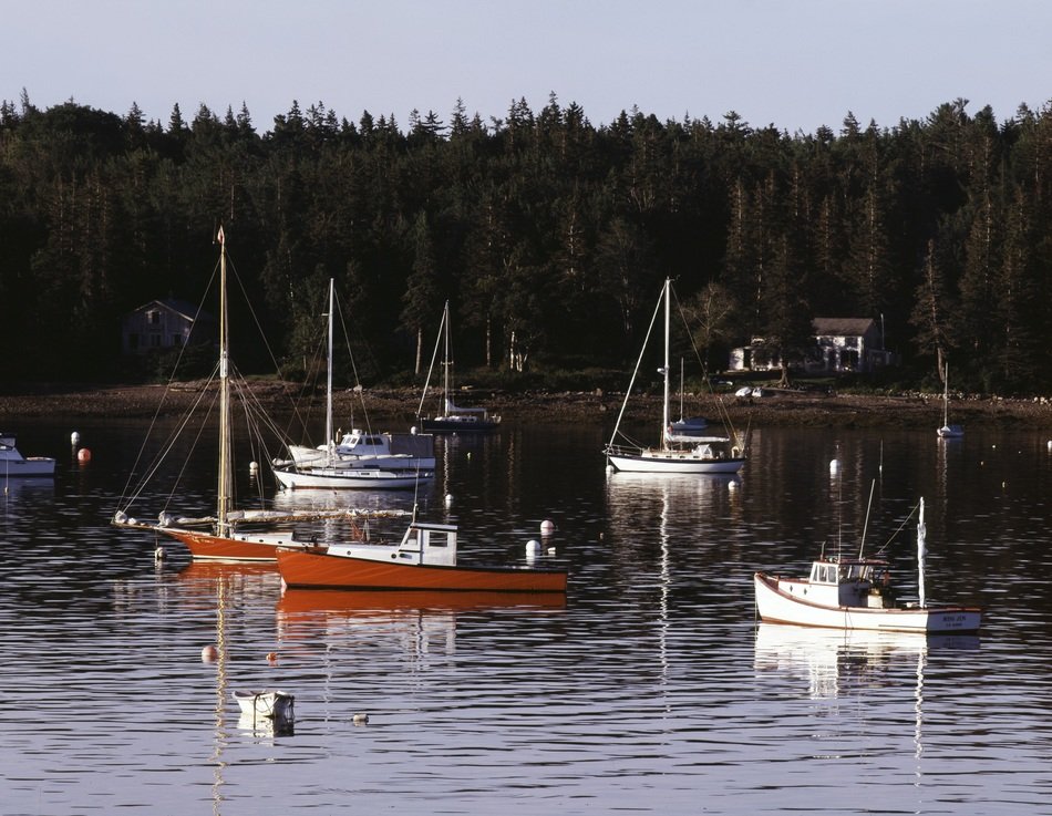 boats in the Southwest harbor