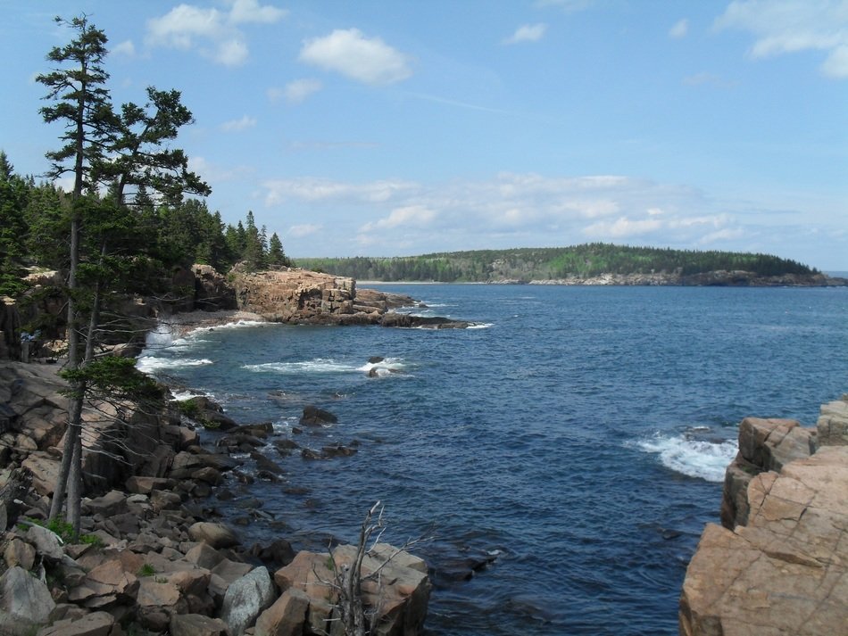 Rocky shoreline in summer free image download