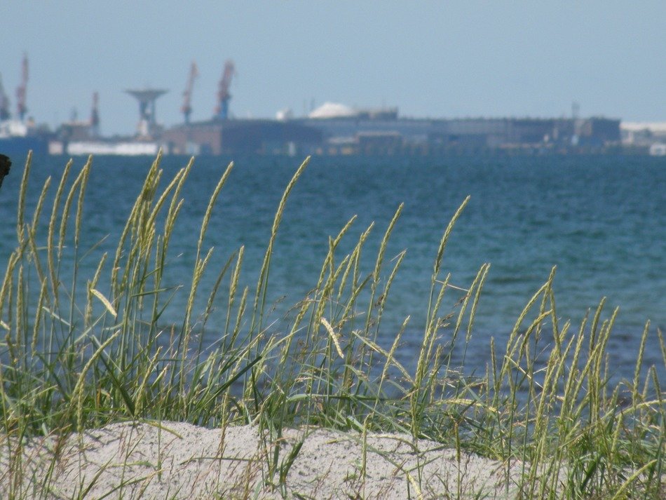 Beach of Landskrona