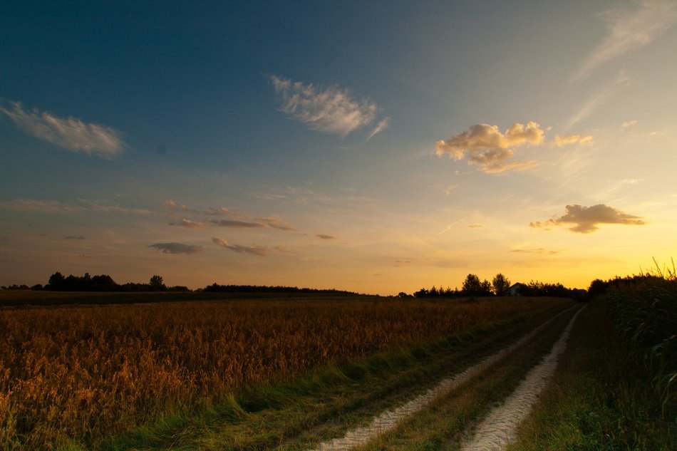 country road under the evening sky