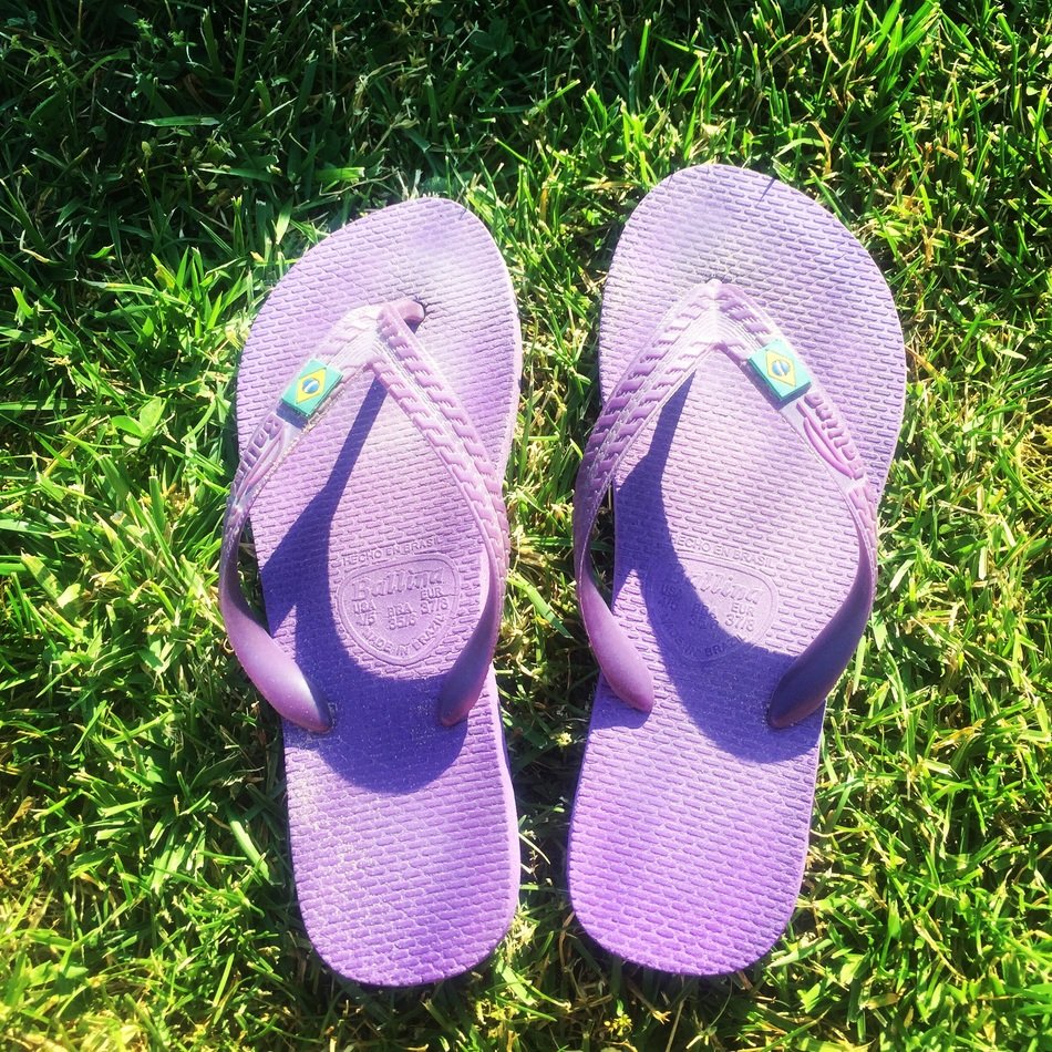 purple slippers on the grass