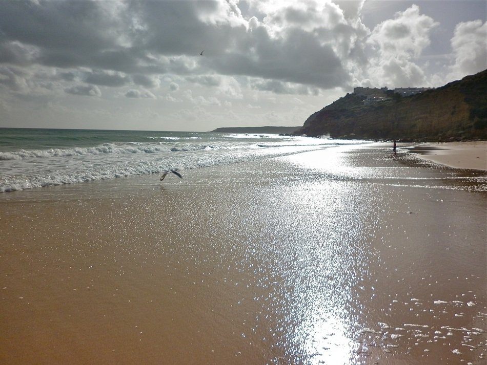 sand on the beach in the water