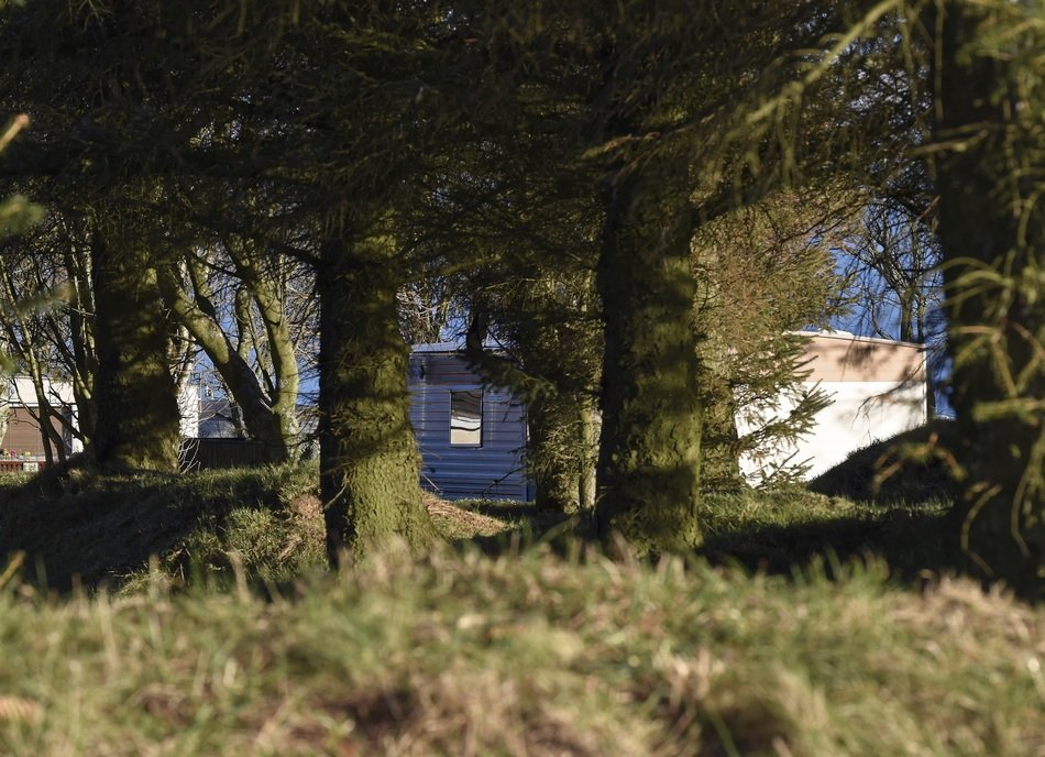 charming caravan static trees