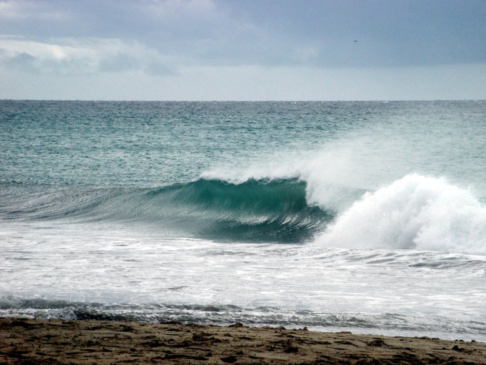 waves in the ocean