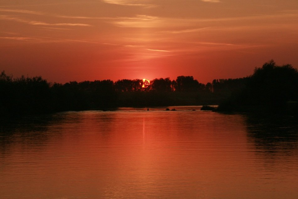 sun behind trees on the horizon in sunset