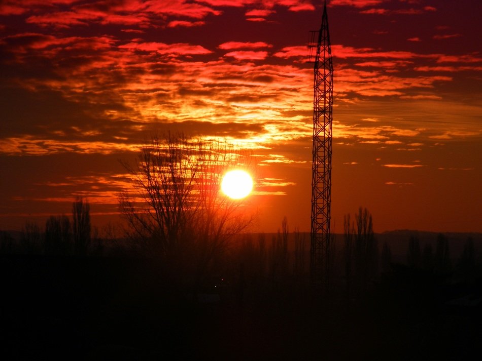 Landscape on a background of a sunset at dusk