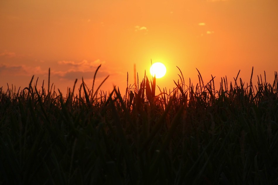 sunset in Germany