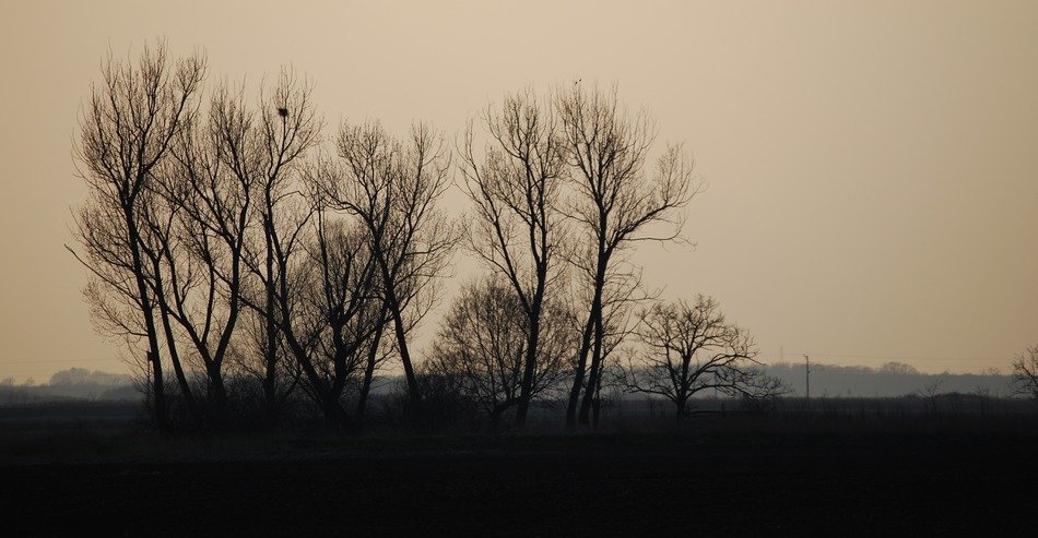 Landscape in the evening