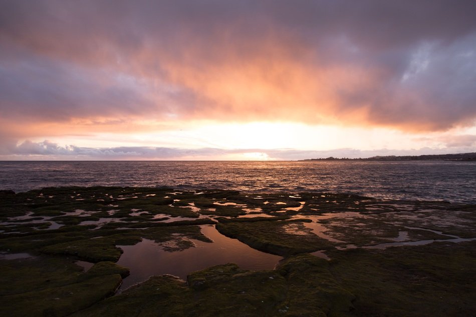 beautiful photo of the horizon at sunset