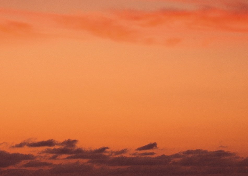 the scenery sunset