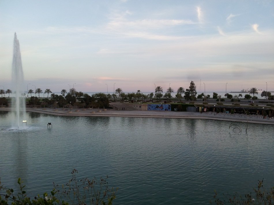 Holiday in Palma