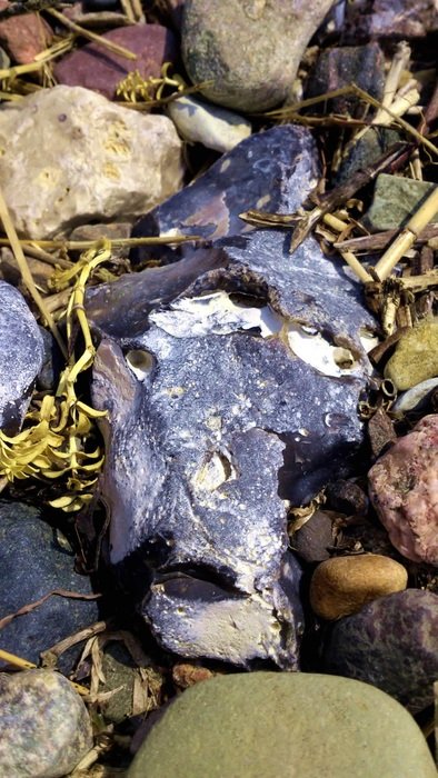 mask form blue stone on beach