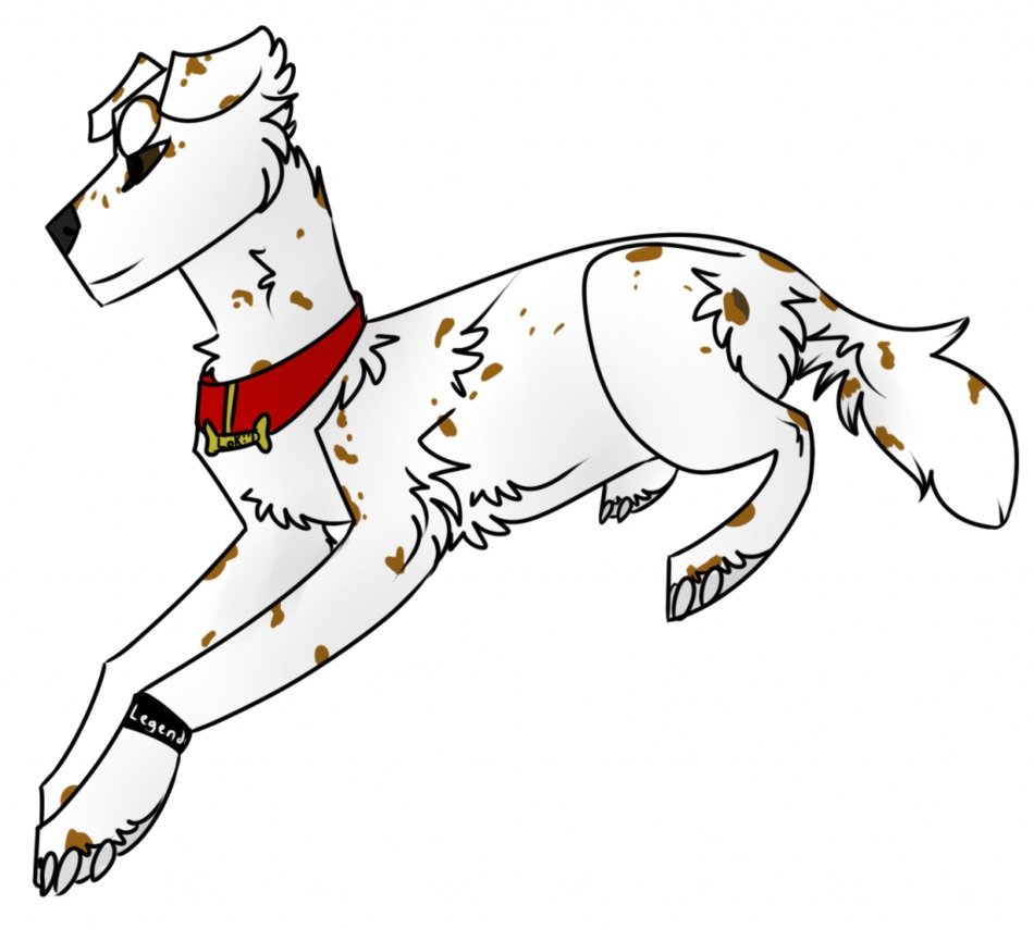 dog Single Art drawing