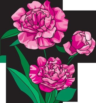 Peony Flower Clip Art