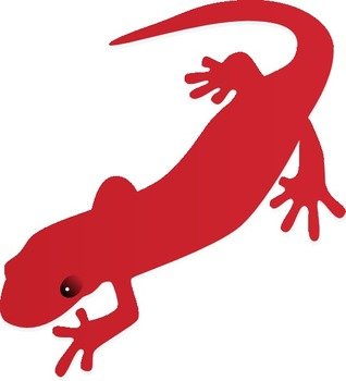 Salamander Clip Art