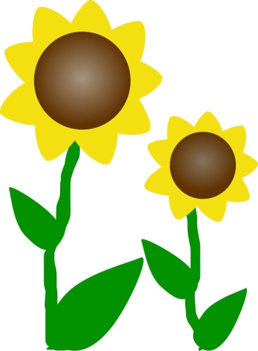 Cartoon Flower yellow drawing