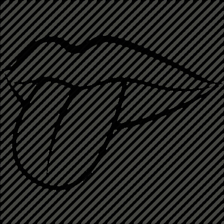 Body Glossa Internal Organs Lingua Lip Mouth Tongue Icon N2
