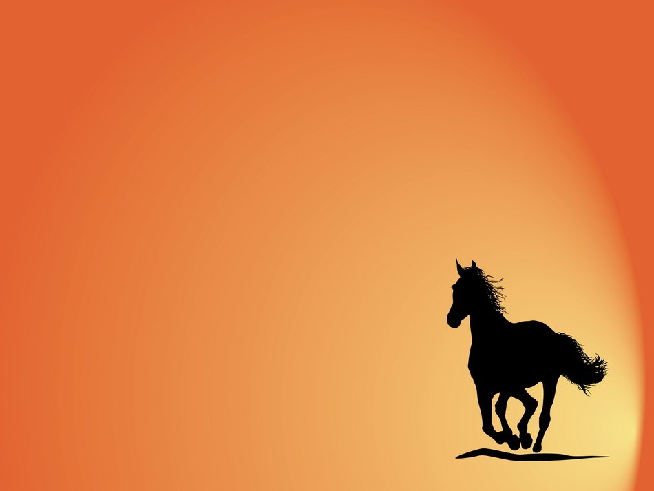 orange background with horse silhouette
