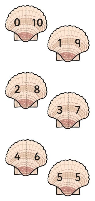 Shell Number drawing
