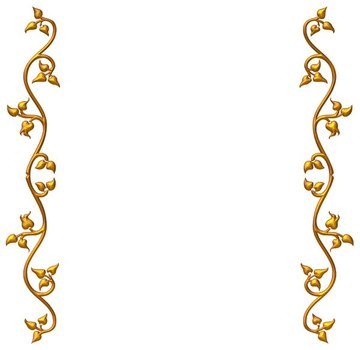 Gold Border Design N2