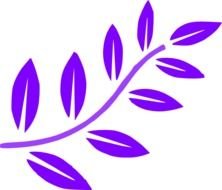 purple branch as a graphic image