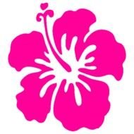 Flower Backgrounds Summer Hawaiian Flowers