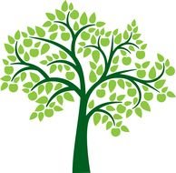 tree with a green trunk and green leaves