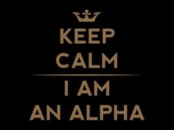Be The First To Review &ldquo;alpha Keep Calm Tshirt&rdquo; Cancel Reply