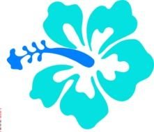 Blue Hibiscus At Clkercom Vector Online Royalty N2