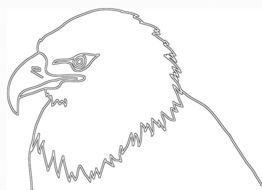 Flying Eagle Silhouette drawing