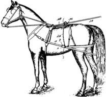 black and white drawing of a horse on a white background