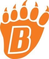 Orange Paw b drawing