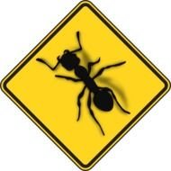 Ant Sign Danger At Clkercom Vector Online