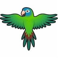 Cartoon Conure Lorikeet Parrot Photo Cutout Zazzle