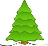 isolated green Christmas tree