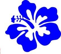 Blue Tropical Flower Vector Online Royalty