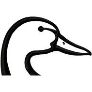 head of a goose as a picture for clipart