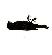 silhouette of a dead bird on a white background