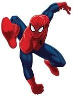 Spider Man N13