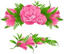 pink flowers with green leaves on a white background