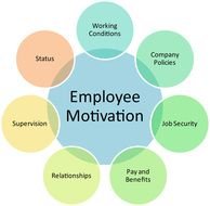 Employee Handbooks The Handbook Is Recognized By Human