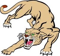 Cougars Mascot Stalking Cougar Team