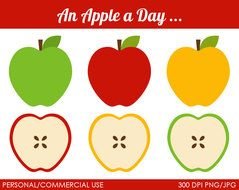 drawing cut apples of different colors